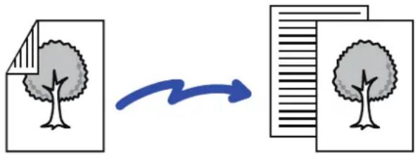 graph LR A["Document with a tree icon"] --> B["Conversion arrow"] B --> C["Document with a tree icon"]