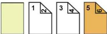 SHARP BP-70C65 - 1-sided copying of 1-sided originals - 32