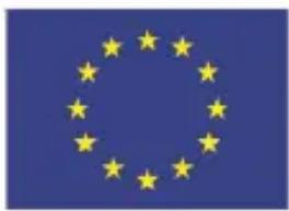 European Union flag with twelve yellow stars arranged in a circle on a blue background (no text or symbols)