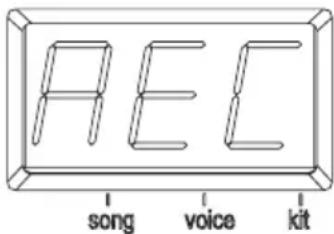 PEC song voice kit