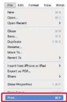 File Edit Format View Wind. New, Open..., Open Recent, Close, Save..., Duplicate, Rename..., Move To..., Revert To, Insert from iPhone or iPad, Export as PDF..., Share, Show Properties, Print... REP