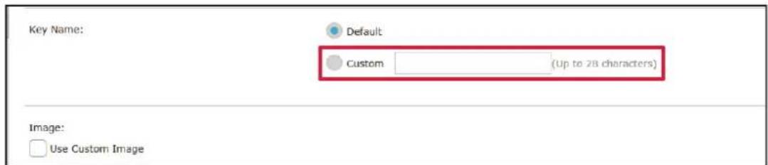 Key Name: Default Custom (Up to 28 characters) Image: Use Custom Image