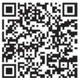 BURG WACHTER BURGcam DOME 3030 - Per Smartphone und BURGcam App - 1