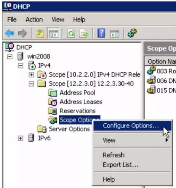 DHCP File Action View Help DHCP win2008 IPv4 Scope [10.2.2.0] IPv4 DHCP Rele Scope [12.2.3.0] 12.2.3.30-40 Address Pool Address Leases Reservations Scope Options... Server Options IPv6 Configure Options... View Refresh Export List... Help