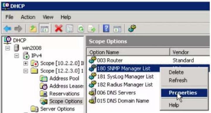 DHCP File Action View Help DHCP win2008 IPv4 Scope [10.2.2.0] II Scope [12.2.3.0] I Address Pool Address Lease: Reservations Scope Options Server Options Scope Options Option Name Vendor 003 Router Standard 180 SNMP Manager List Delete 181 SysLog Manager List Refresh 182 Radius Manager List 006 DNS…