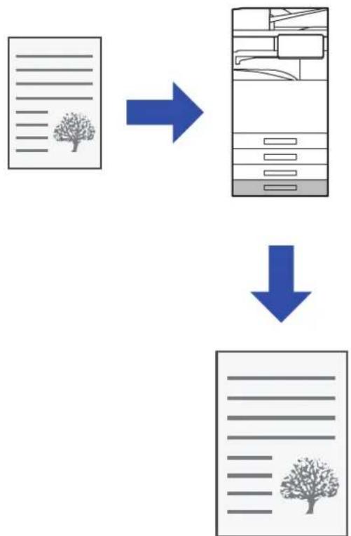graph TD A["Document with a tree icon"] --> B["Processing with a file or folder icon"] B --> C["Output: Final document with tree icon"]