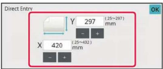 Direct Entry Y 297 (25-297) mm X 420 (25-432) mm - +