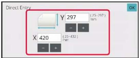 Direct Entry Y 297 (25-297) mm X 420 (25-432) mm - +