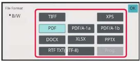 File Format • B/W TIFF PDF DOCX RTF TXT(UTF-8) XPS PDF/A-1a XLSX PDF/A-1b PPTX Prog. OK