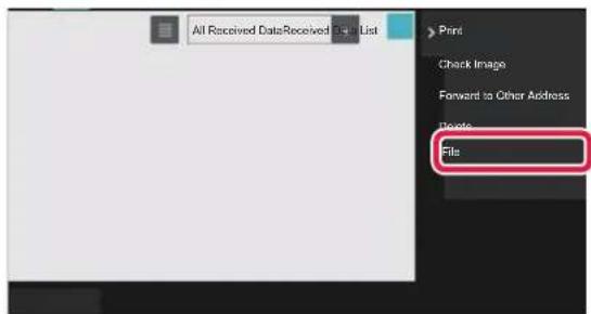 All Received Data Received List Print Check Image Forward to Other Address Update File