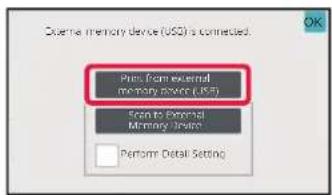 External memory device (USB) is connected. Print from external memory drive (USB) Print to External Memory Drive Perform Detail Setting