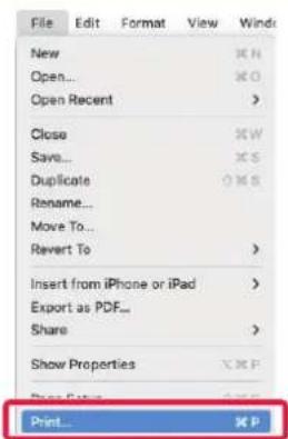 File Edit Format View Wind New Open... Open Recent Close Save... Duplicate Rename... Move To... Rewert To Insert from iPhone or iPad Export as PDF... Share Show Properties Print...