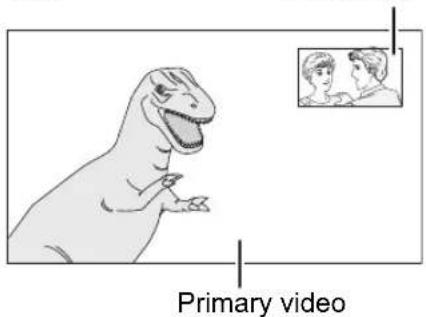 Primary video
