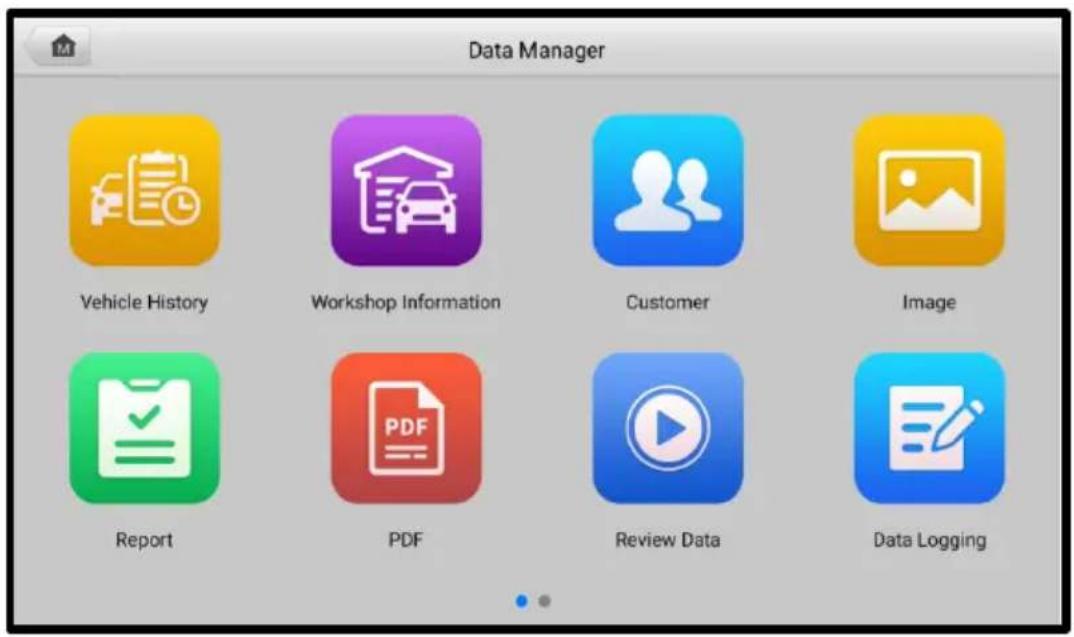 Data Manager Vehicle History Workshop Information Customer Image Report PDF Review Data Data Logging