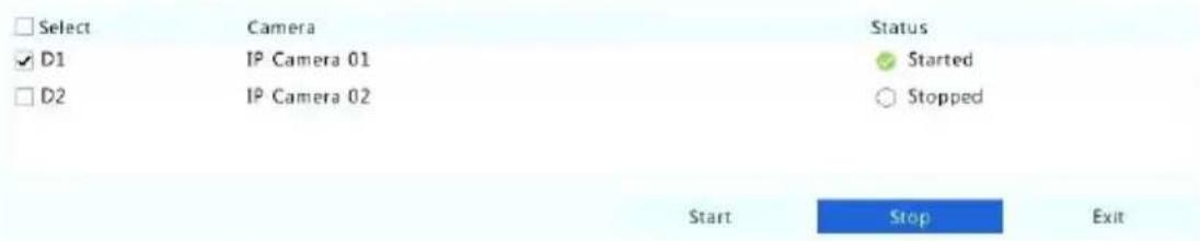 Select Camera Status ✓ D1 IP Camera 01 Started □ D2 IP Camera 02 Stopped Start Stop Exit