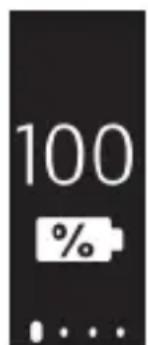 100 %