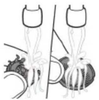 PHILIPS Norelco Series 9400 S9502 - Limpieza a fondo - 3
