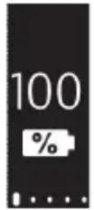 100 %