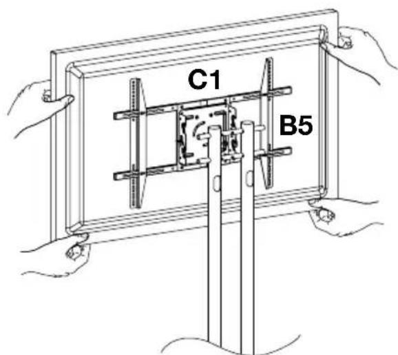 C1 B5