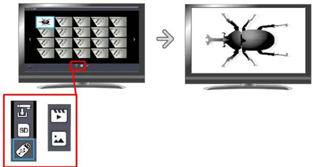 Diagram illustrating the process of editing a bug on a monitor, showing file selection and modification steps.