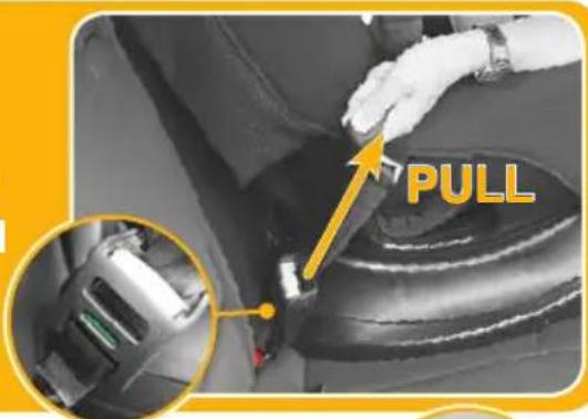 PULL
