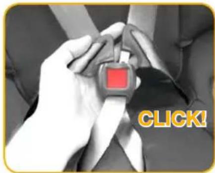 SAFETY 1ST Summit ISO 30 - TO FASTEN BUCKLE ASSEMBLY - 2