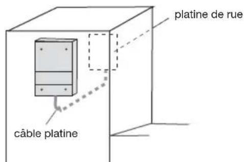 platine de rue câble platine