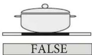 FALSE