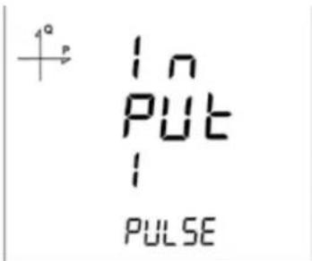 1° In Put 1 PULSE