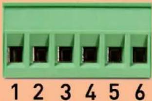 Kali Audio SM-5-C - Connecting an Amplifier - 1
