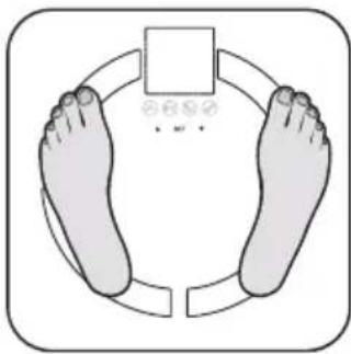 Illustration of a circular arrangement of two feet with a square block and small symbols inside (no text or labels)