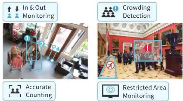 In & Out Monitoring Crowding Detection Accurate Counting Restricted Area Monitoring