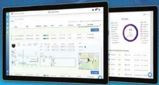 Screenshot of a mobile app interface displaying a data dashboard and a circular progress chart with percentage value.