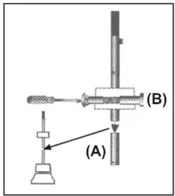 (A) (B)