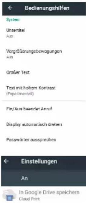 Bedienungshilfen System Untentitel Aus Vorgrößerungsbewogungen Aus Großer Text Text mit hohem Kontrast (Paperimmeteil) Fin/Aus beendet Annif Display automatisch drehen Passwörter ausprechen Einstellungen An In Google Drive speichern Cloud Print