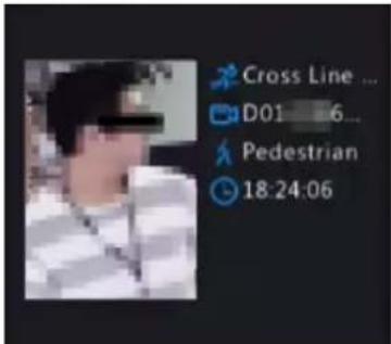 Cross Line ... D01 6... Pedestrian 18:24:06