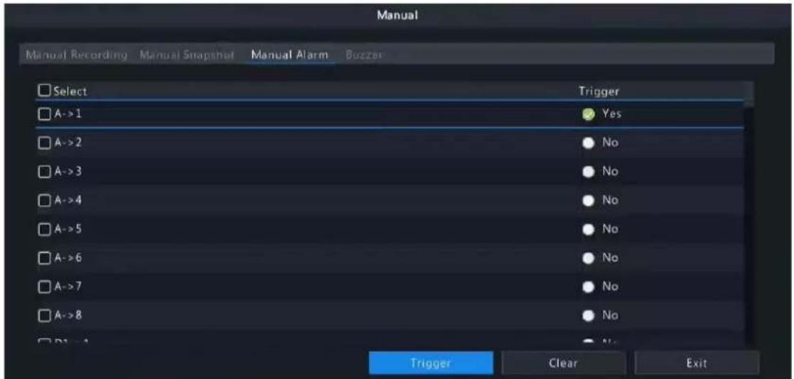 Manual Manual Recording Manual Snapshot Manual Alarm Buzzer Select Trigger A->1 Yes A->2 No A->3 No A->4 No A->5 No A->6 No A->7 No A->8 No B1->1 No Trigger Clear Exit