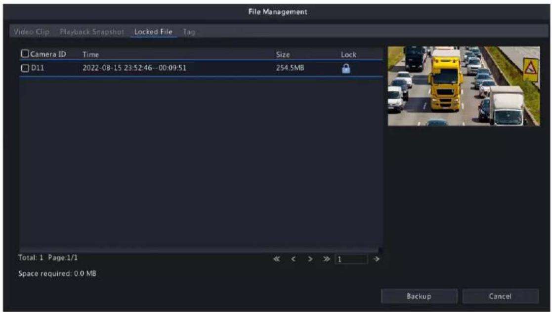 File Management Video Clip Playback Snapshot Locked File Tag Camera ID Time Size Lock D11 2022-08-15 23:52:46--00:09:51 254.5MB Total: 1 Page:1/1 << >> 1 → Space required: 0.0 MB Backup Cancel