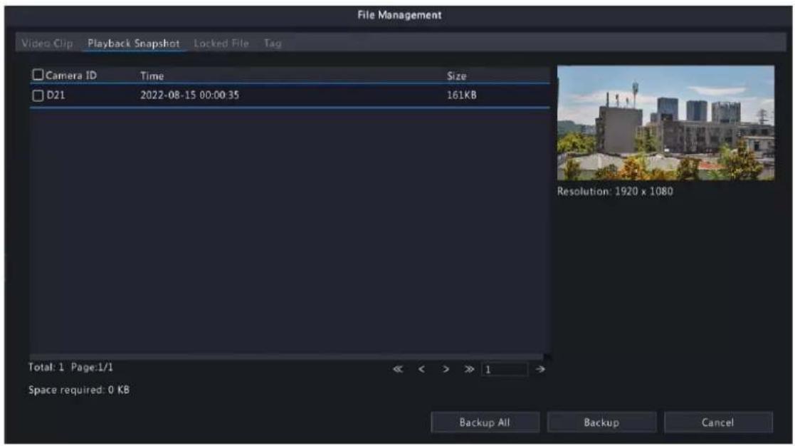 File Management Video Clip Playback Snapshot Locked File Tag Camera ID Time Size D21 2022-08-15 00:00:35 161KB Resolution: 1920 x 1080 Total: 1 Page:1/1 << >> 1 → Space required: 0 KB Backup All Backup Cancel