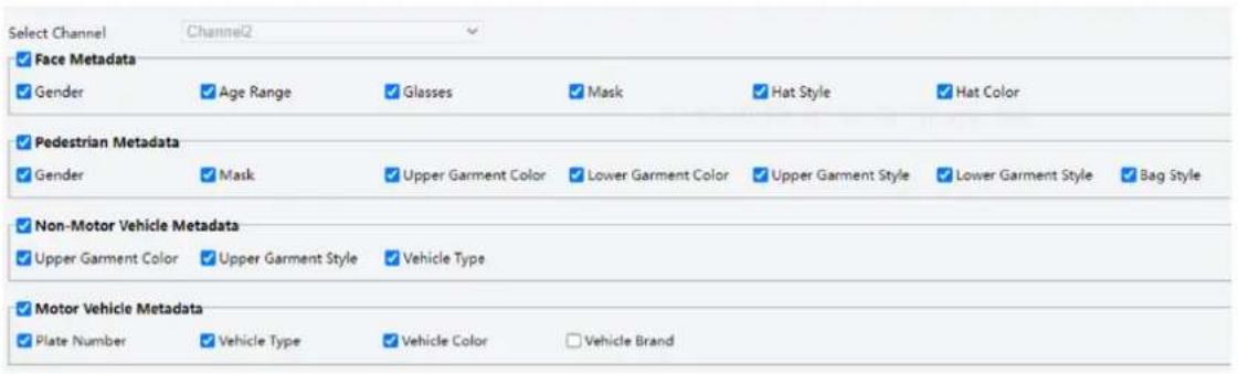 Select Channel Channel2 Face Metadata Gender Age Range Glasses Mask Hat Style Hat Color Pedestrian Metadata Gender Mask Upper Garment Color Lower Garment Color Upper Garment Style Lower Garment Style Bag Style Non-Motor Vehicle Metadata Upper Garment Color Upper Garment Style Vehicle Type Motor Vehicle Metadata Plate Number Vehicle Type Vehicle Color Vehicle Brand