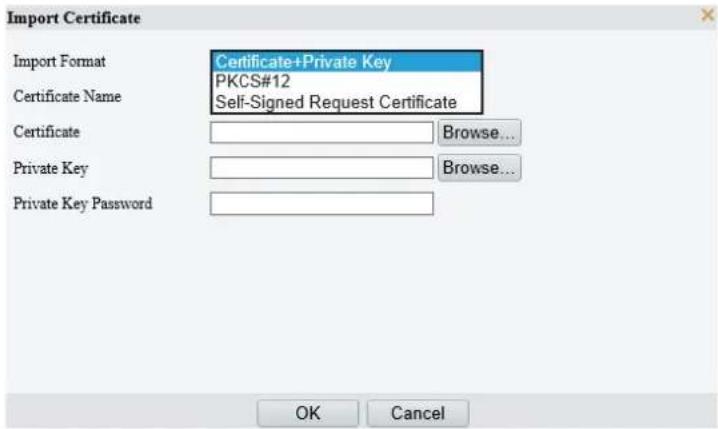 Import Certificate Import Format Certificate+Private Key PKCS#12 Certificate Name Self-Signed Request Certificate Certificate Browse... Private Key Browse... Private Key Password OK Cancel