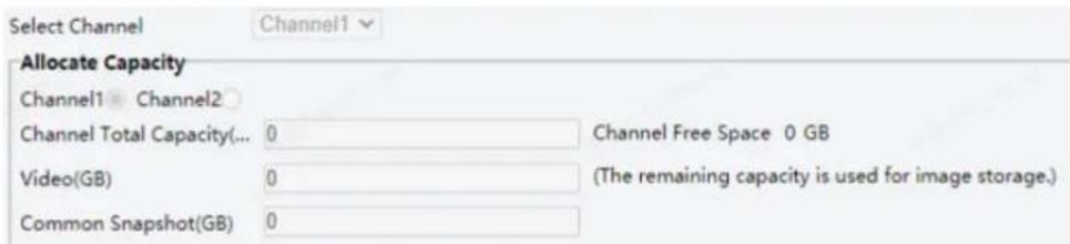 Select Channel Channel1 Allocate Capacity Channel1 Channel2 Channel Total Capacity(... 0 Channel Free Space 0 GB Video(GB) 0 (The remaining capacity is used for image storage.) Common Snapshot(GB) 0