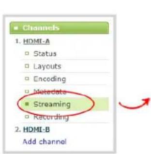 Channels 1. HDMI-A Status Layouts Encoding Metadata Streaming Recording 2. HDMI-B Add channel