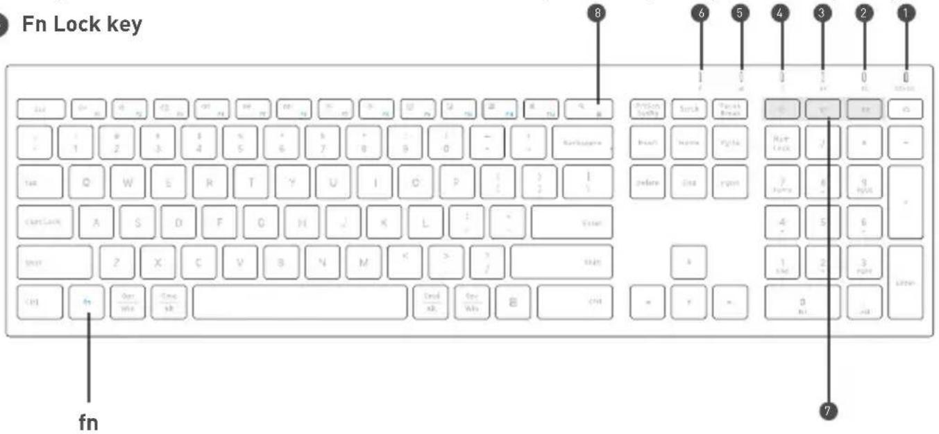 Fn Lock key 8 1 6 5 4 3 2 1 fn fn