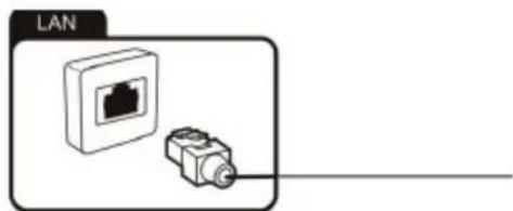 LAN