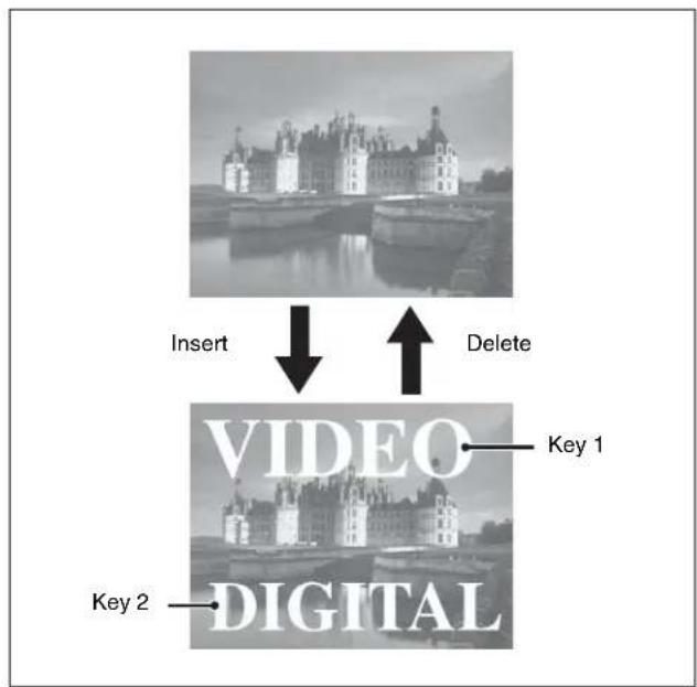 SONY MVS-7000X - Inserting and deleting a key - 1