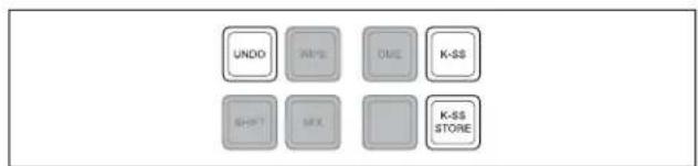 UNDO PRM DUE K-SS S+97 LFX K-SS STORE