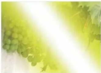 SONY MVS-7000X - Lighting effects - 3