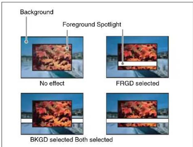 Background Foreground Spotlight No effect FRGD selected BkgD selected Both selected