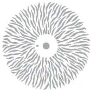 MARTIN MAC 2000 Performance II - Alternative gobos: Alternative animation discs: - 1